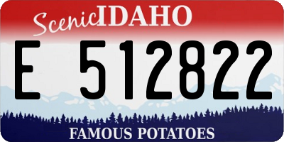 ID license plate E512822