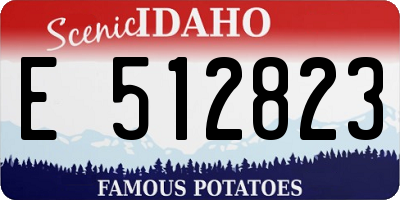 ID license plate E512823