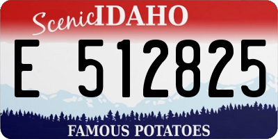 ID license plate E512825