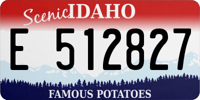 ID license plate E512827