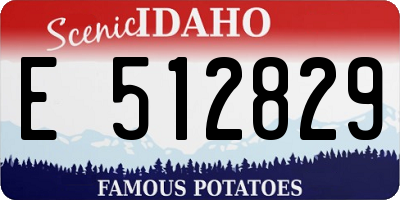 ID license plate E512829