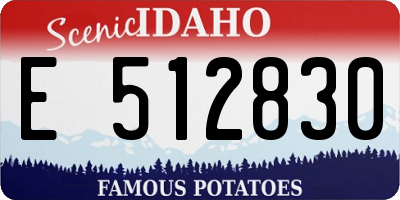 ID license plate E512830