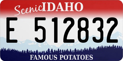ID license plate E512832