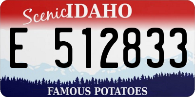 ID license plate E512833