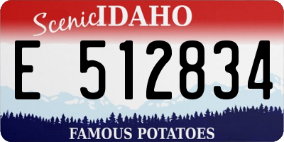 ID license plate E512834