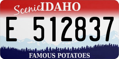 ID license plate E512837