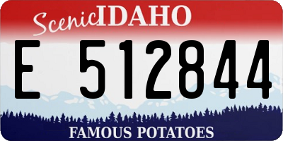 ID license plate E512844