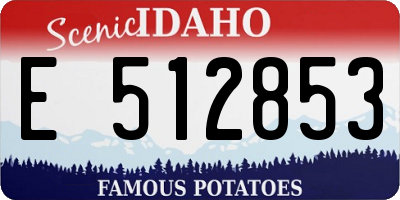 ID license plate E512853