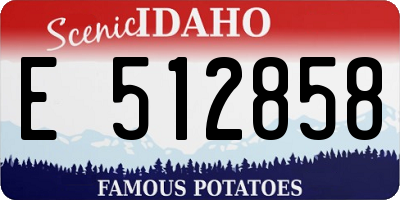 ID license plate E512858