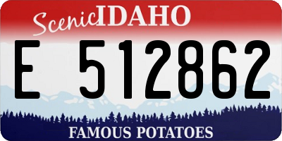 ID license plate E512862
