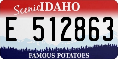ID license plate E512863