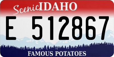 ID license plate E512867