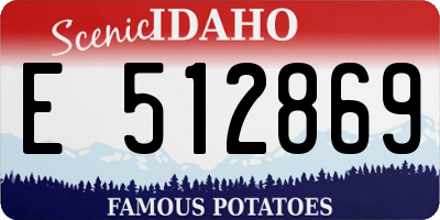 ID license plate E512869