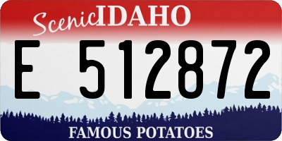 ID license plate E512872
