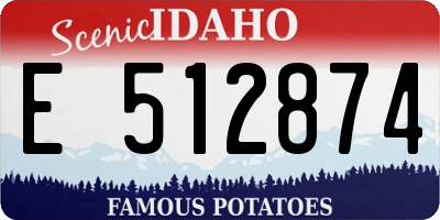 ID license plate E512874