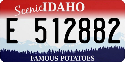 ID license plate E512882