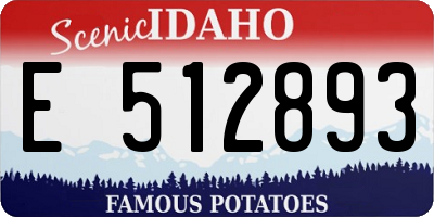 ID license plate E512893