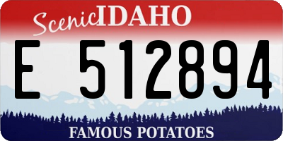 ID license plate E512894