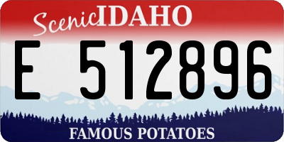 ID license plate E512896