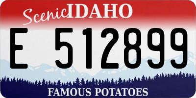 ID license plate E512899