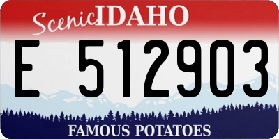 ID license plate E512903