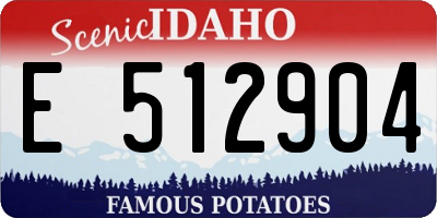 ID license plate E512904