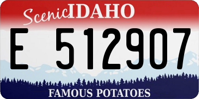 ID license plate E512907
