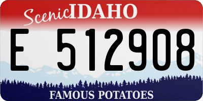 ID license plate E512908