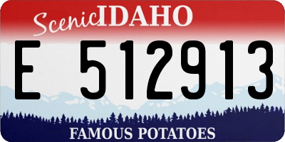 ID license plate E512913