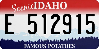 ID license plate E512915