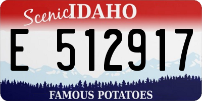 ID license plate E512917