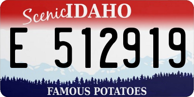ID license plate E512919