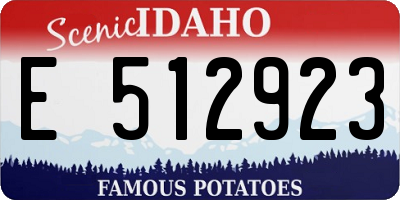 ID license plate E512923
