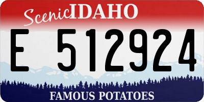 ID license plate E512924