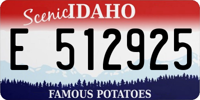 ID license plate E512925