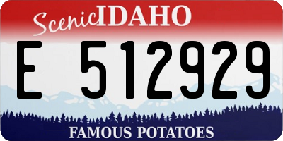 ID license plate E512929