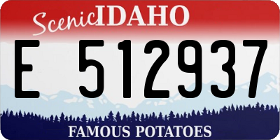 ID license plate E512937