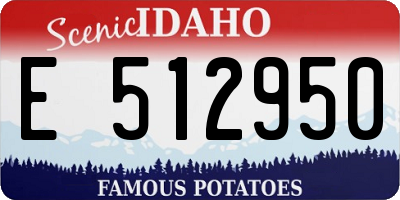 ID license plate E512950