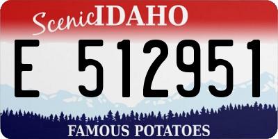 ID license plate E512951