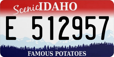 ID license plate E512957