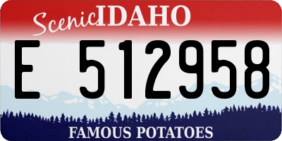 ID license plate E512958