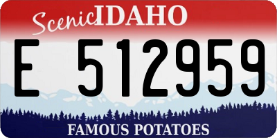 ID license plate E512959