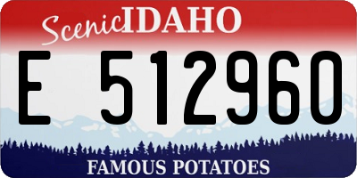 ID license plate E512960