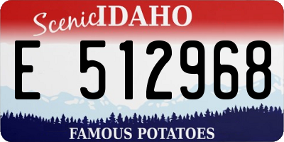 ID license plate E512968