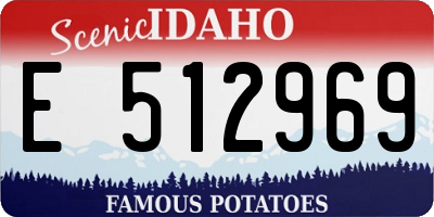 ID license plate E512969