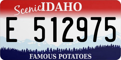 ID license plate E512975