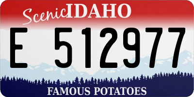 ID license plate E512977