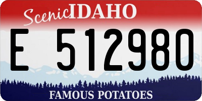 ID license plate E512980