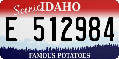 ID license plate E512984