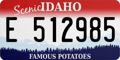 ID license plate E512985